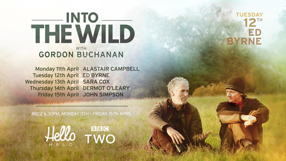 Into the Wild for Ed